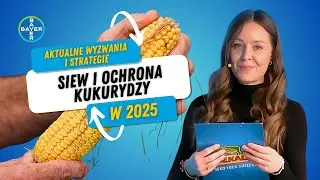 SIEW I OCHRONA KUKURYDZY W 2025! Aktualne wyzwania i strategie 🌽