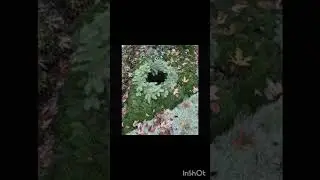 Der Tunnel