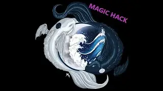 MAGIC HACK | Railgun AIMBOT!!!!!!