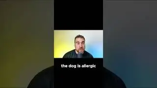 How to Identify Your Dog's Allergies