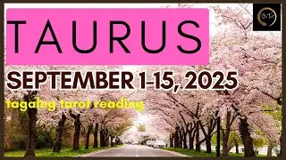 IT'S TIME FOR ABUNDANCE, PROSPERITY AND FINANCIAL COMFORT! TAURUS SEPTEMBER 1-15, 2025🔮TAROT READING