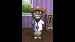 FUNNY CAT HIT PAAD SONG 2018