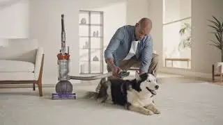 Dyson Ball Animal 3 Extra Upright Vacuum