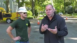 Local Tree Service Runnemede NJ 08078 +1 856-795-3333 Tree Services Runnemede NJ 08078