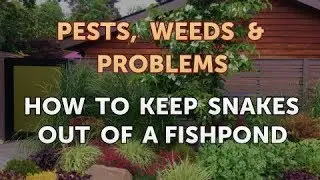 How to Keep Snakes Out of a Fishpond