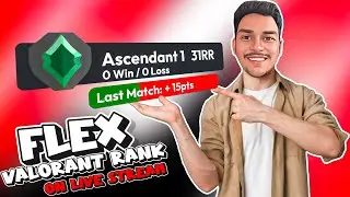 How to Show Valorant Rank on Stream in Real Time (OBS Tutorial)