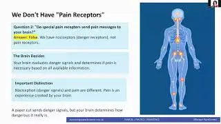 Pain Fact 2 - We Don't Have 
