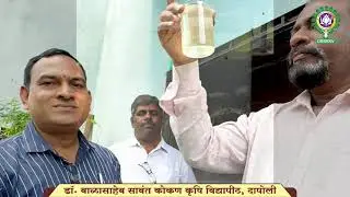 मत्स्यबीजाचे अनुकूलन आणि साठवणूक । Fish seed adaptation and storage | Dr. BSKKV, Dapoli