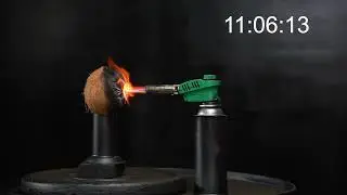 Coconut VS Gas Torch