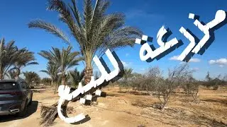 مزرعه للبيع ٢٥ فدان علي طريق مصر اسكندريه الصحراوى علي ٣ شوارع #مزارع_للبيع_في_مصر 