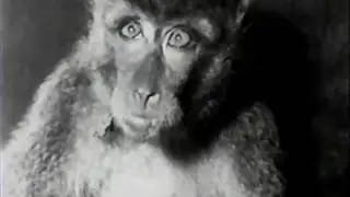 History Of Wars Documentary HD - Burma Bridge Busters Documentary