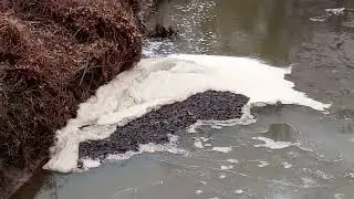 A lot of foam in the retention pond further down.
