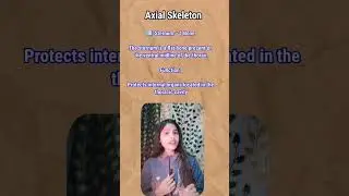 Axial Skeleton System in 2 min || Locomotion and Movement || #biology #neet #science #shorts