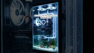 Aquarium PC &mdash; filled with crystal-clear mineral cooling #aquarium #pcgaming #relaxing