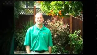 CitruSolution Carpet & Upholstery Cleaning Process