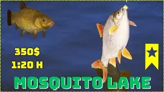 Active Roach Trophy spot Mosquito lake | Russian Fishing 4