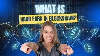 HARD FORK: A BLOCKCHAIN SPLIT