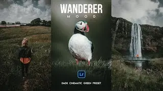 Wanderer Mood Preset -  Free Premium Lr Presets | Dark Green Preset | Moody Preset