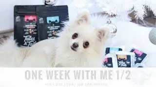 One Week With Me (1/2) - Mir liegt etwas auf dem Herzen... | PIA