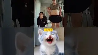 girl mood 😂😂 #cat #trending #shorts #memes