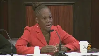 NYC First Lady Grilled Over Mental Health Program