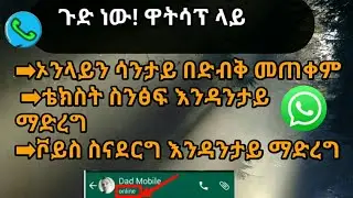 እንኳን ደስ አላችሁ በዋትሳፕ ቴክስ ስናደርግ ቮይስ ስናደርግ ኦንላይን ሳንታይ መጠቀም ተጀመረ።