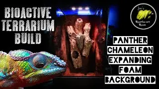 Panther Chameleon Bioactive Vivarium Build