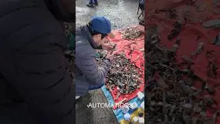 Visit&eacute; el tianguis de las Torres en CDMX en busca de relojes autom&aacute;ticos.