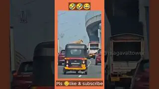 Dog funny video 😂🤣| #shortstamil