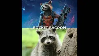 10 superheroes are inspired by animals and birds|#marvel #dc #shorts