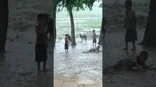 गांव की बारिश प्रकृति  |Village ki barish neuter | new video Village ki varish | #varish #shortvideo