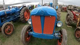 1953 Fordson E1A New Major 3.6 Litre 4-Cyl Diesel Tractor (38 HP)
