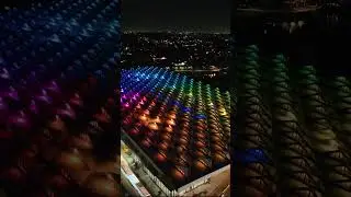 The new Sydney Fish Market has put on a show!