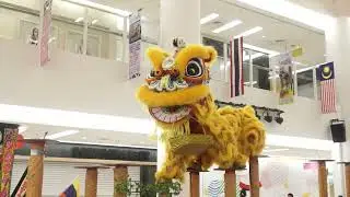 Acrobatic Lion Dance Indonesia