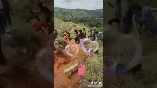 pelea de la comarca NoBe Bugle