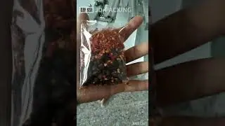 Chilly and black bean mixing packing machine