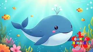 🎶 Canci&oacute;n del oc&eacute;ano para ni&ntilde;os &ndash; M&uacute;sica infantil con animales del mar