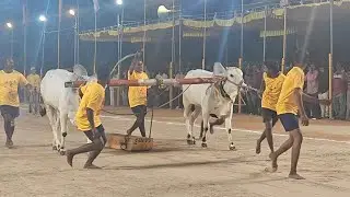 నరసరావుపేట పాలపళ్ళు 20వ PLK BULLS భీమవరం గ్రామం పల్నాడు జిల్లా