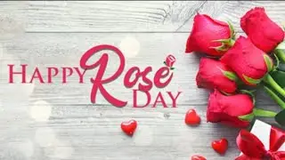 Rose Day Special status🌹|Happy Rose Day Status 2020 |Full Screen Whatsapp Status