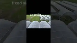 Protech polytunnels at NIAB: fixed skinned polythene with winding gear boxes with telescopic arms