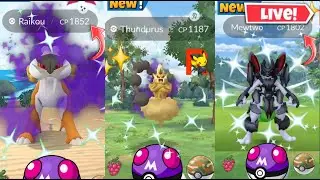 Hunting✨️Shundo Shadow Raikou & Free Trading in Pokemon Go