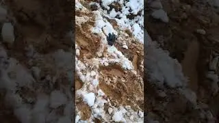 digging a main line to a pump station