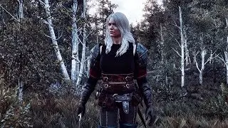 The Witcher 3  Ciri Armor Outfit (Both Player and NPC)