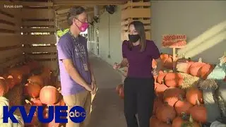 Keep Austin Local: Wheatsville Food Co-op | KVUE