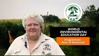 World Environmental Education Day | Day 6 🌍