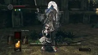 Dark Souls is a hard game... Black Knight Greatsword +5 Havel VS Artorias