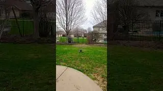 Holybro X500 #drone - quick test with #ardupilot 4.6 beta5
