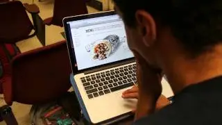Applications of Cognitive Psychology: Bilingualism