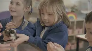 A Day in Kindergarten at Budgewoi Public School