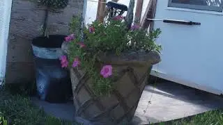 GiGi's Garden